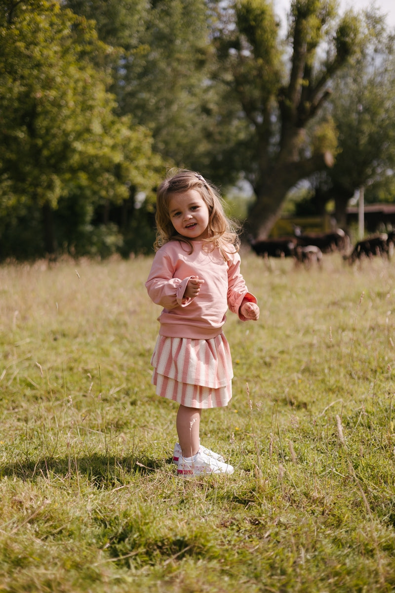 Rok Roze gestreept | Dark Mauve