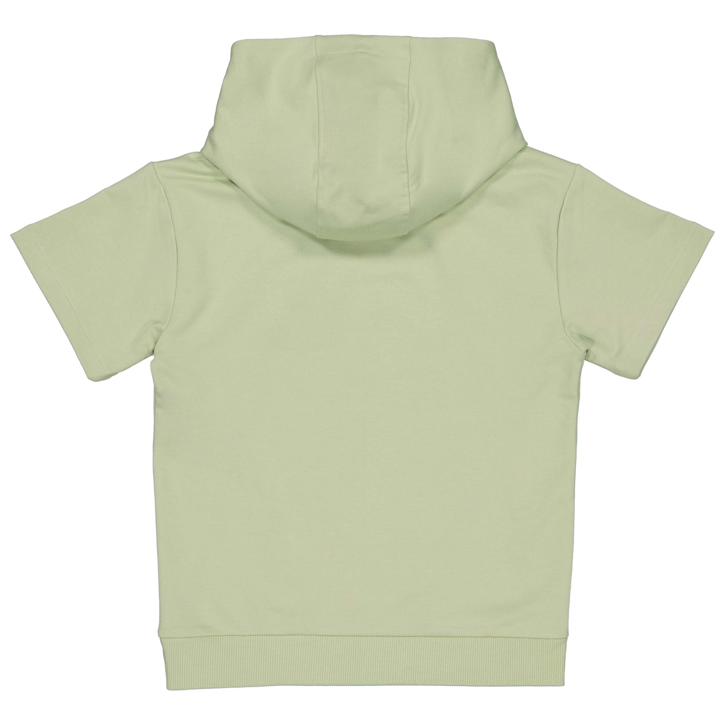 Trui Groen | Cedar Green