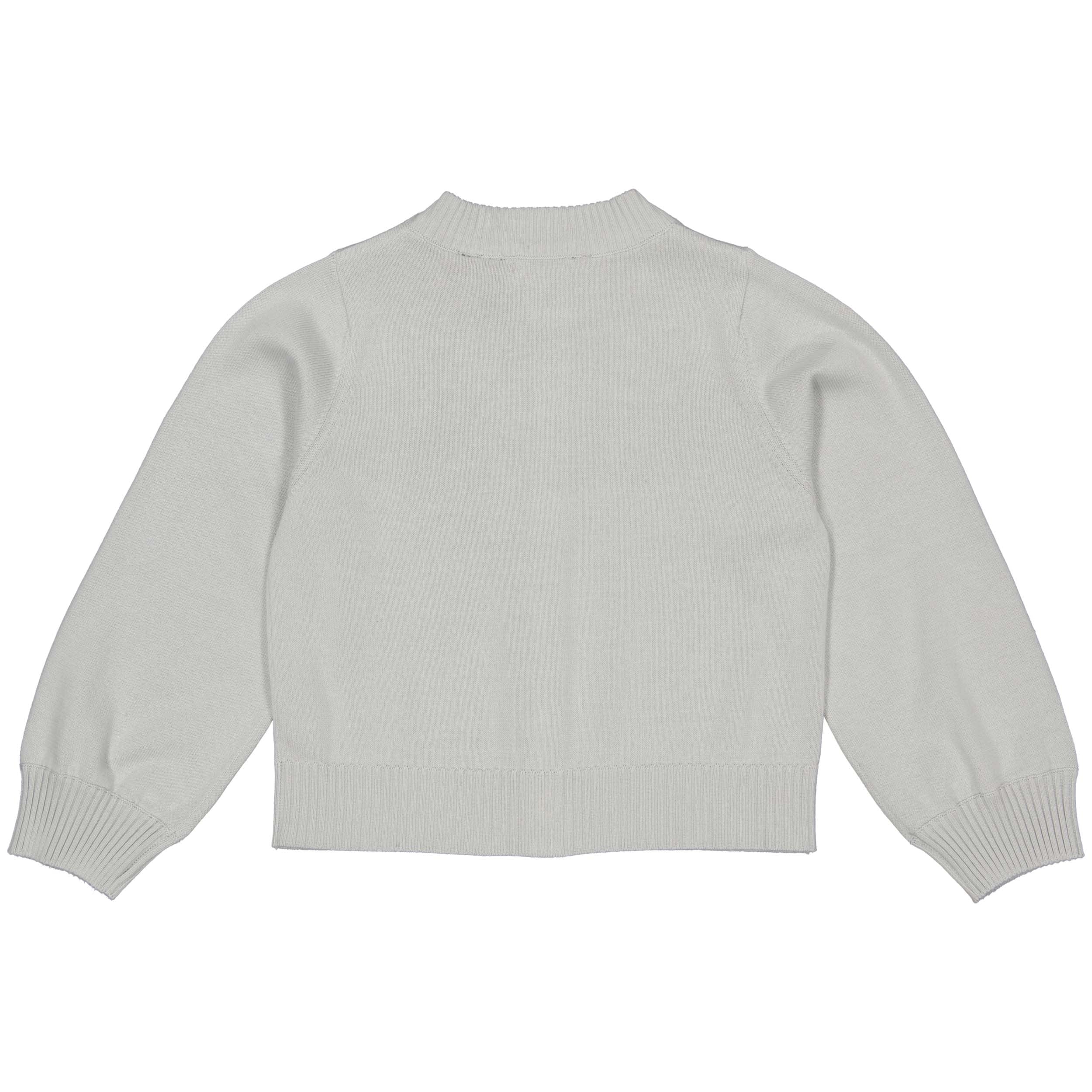 Pullover blauer | Pastel Blue
