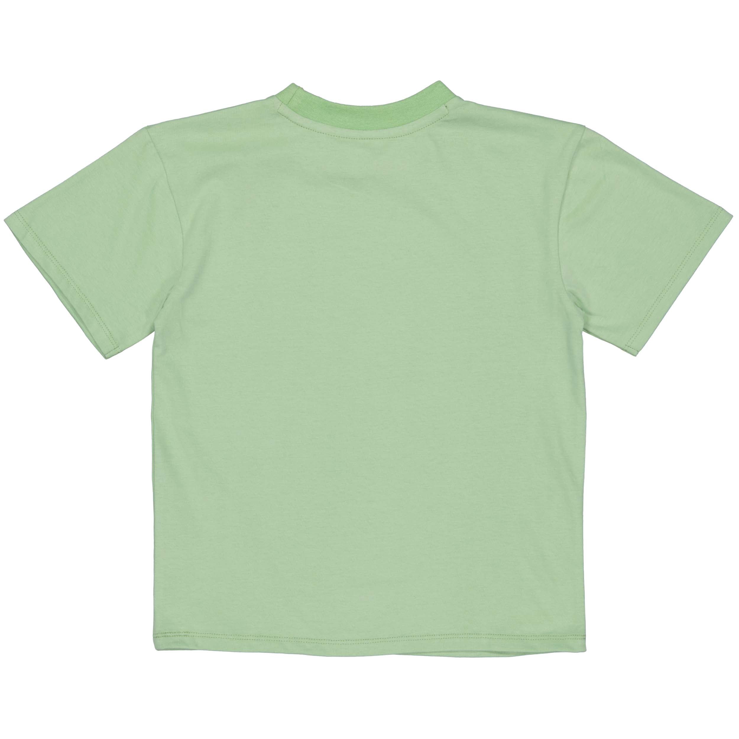 Oversized Shortsleeve | Soft Green